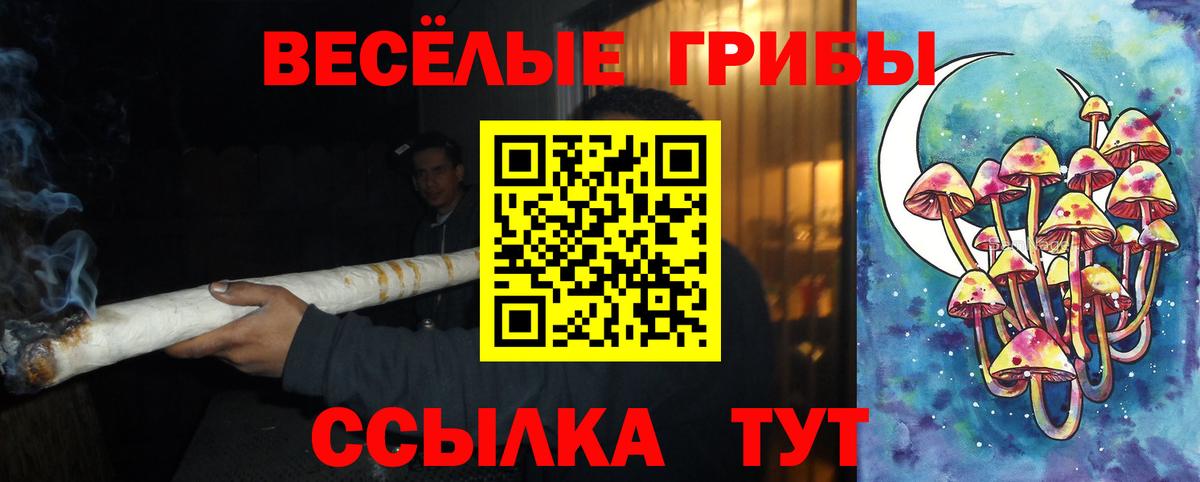 Псилоцибиновые грибы Psilocybe Ливны