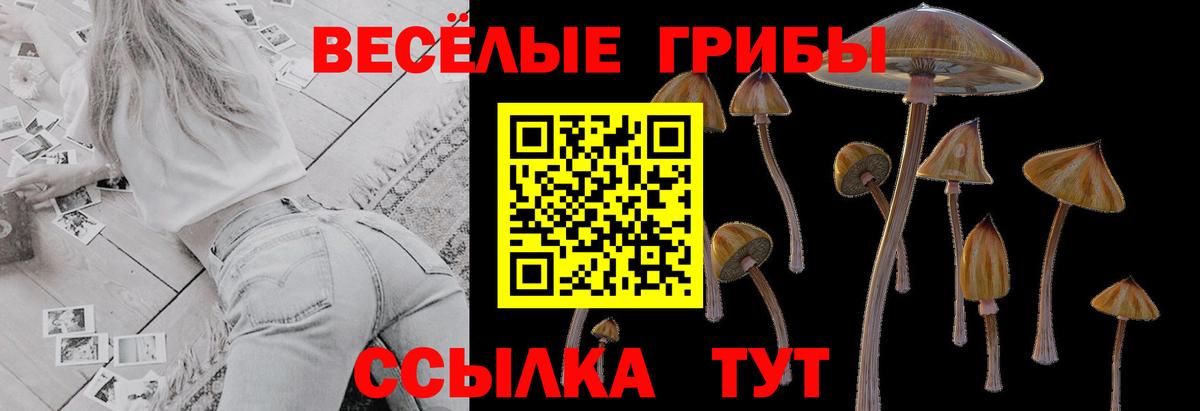 Ливны  Псилоцибиновые грибы Cubensis  Псилоцибиновые грибы MAGIC MUSHROOMS  Вход с VPN 